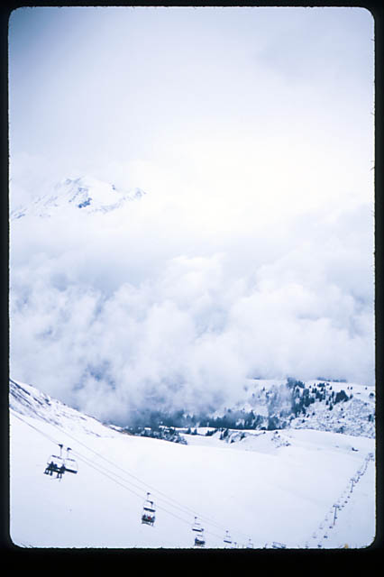Cham_030