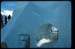 Cham_024