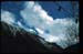 Cham_027