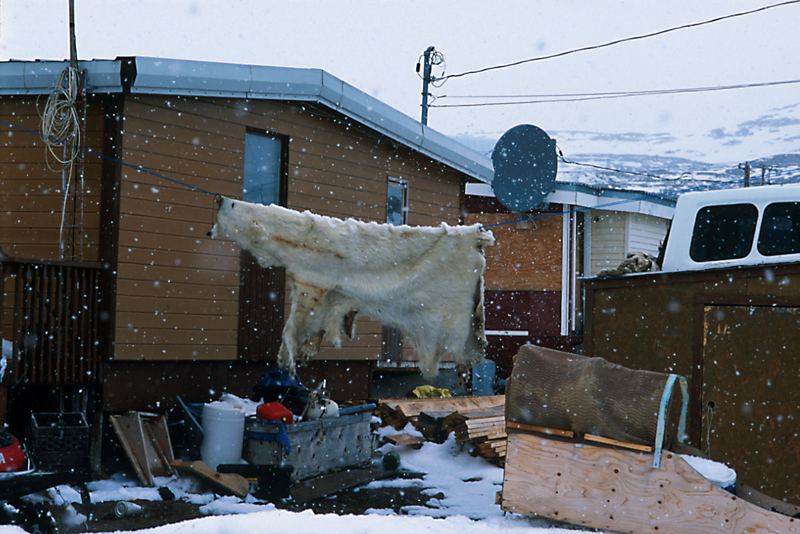 Baffin_008