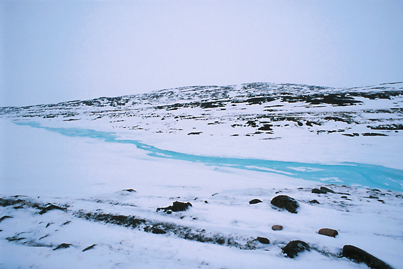 Baffin_015