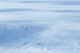 Baffin_023