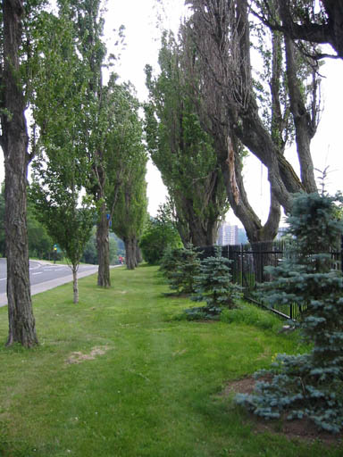 IMG_0168